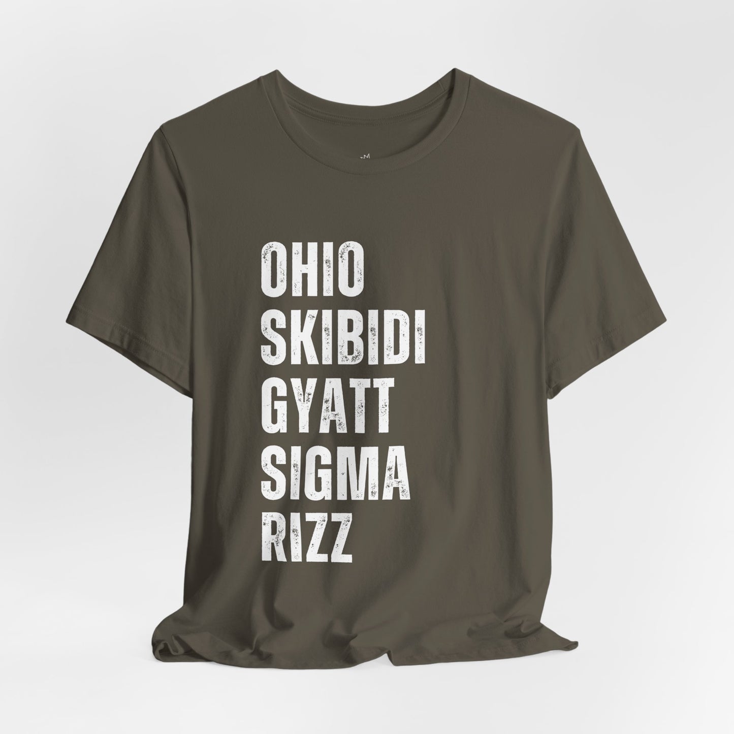 Ohio Skibidi Gyatt Sigma Rizz - Funny Gen Alpha T-Shirt